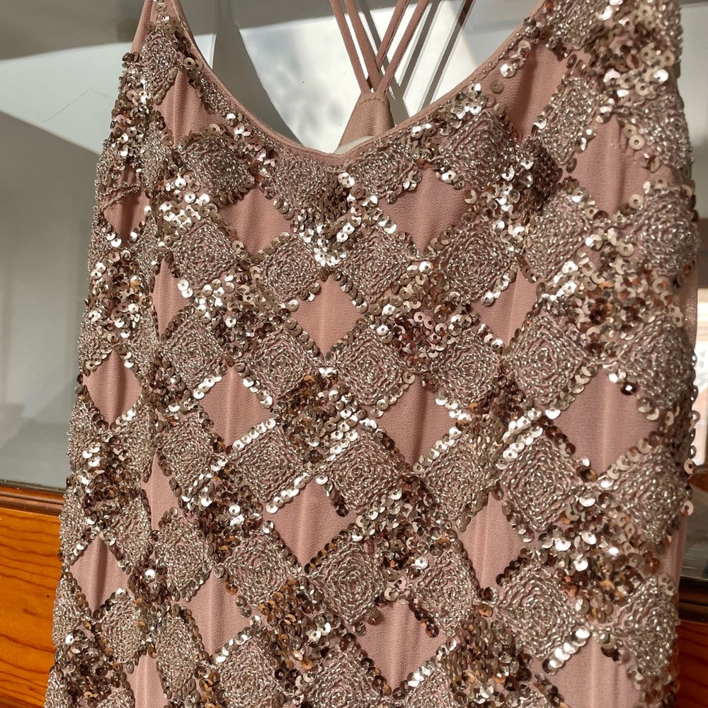 Endless Rose Sequin Mini Dress